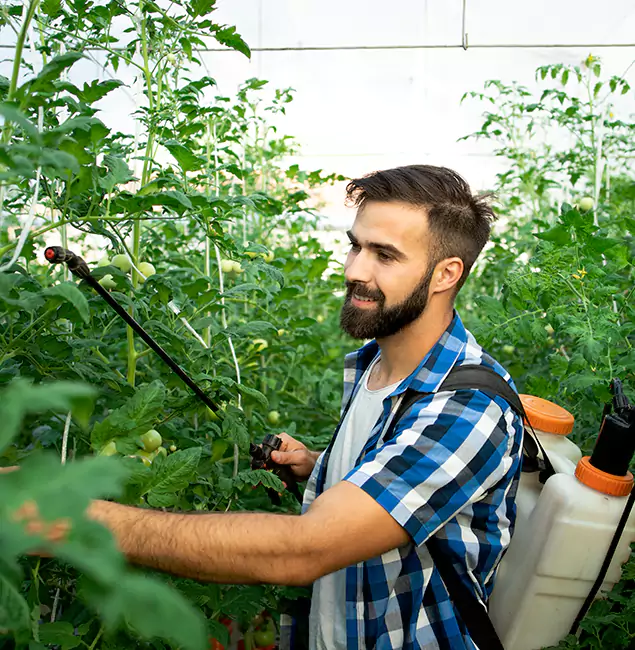 Why Fairfax Homeowners Choose Fairfax Pest Control Pros for Mosquito Spraying?