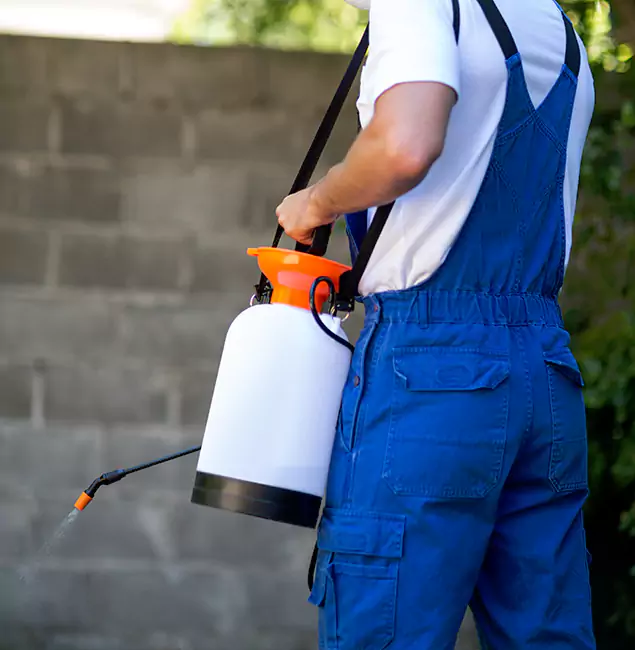 Why Fairfax Pest Control Pros Delivers the Best Mosquito Control in Fairfax, VA?