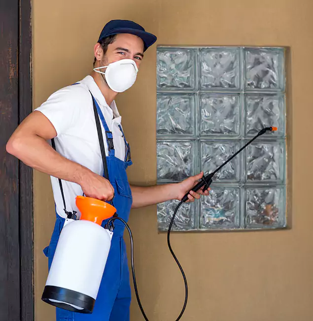 Why Fairfax Pest Control Pros Provides the Best Mosquito Control for Yard Properties in Fairfax, VA?