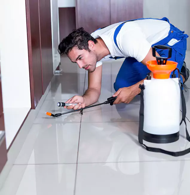 Why Fairfax Pest Control Pros Is the Proven Choice in Fairfax, VA?