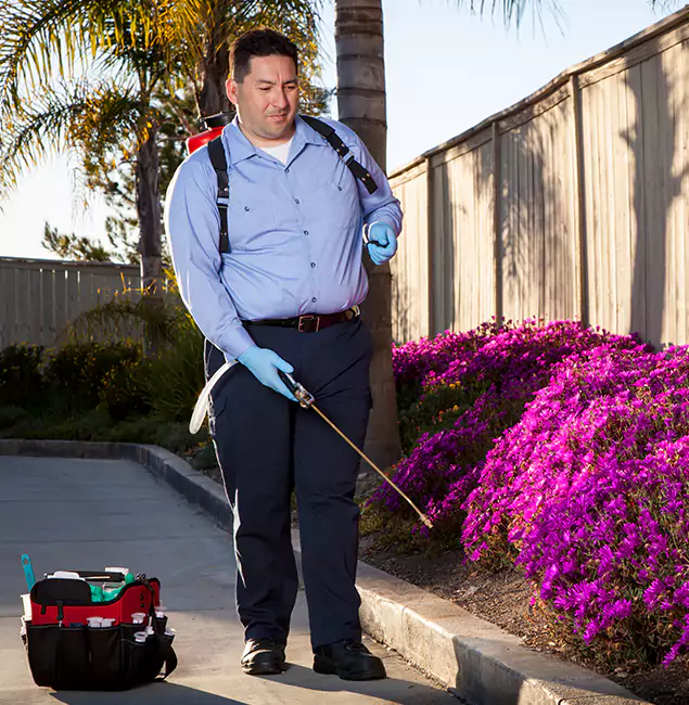 Why Choose Fairfax Pest Control Pros in Fairfax, VA?