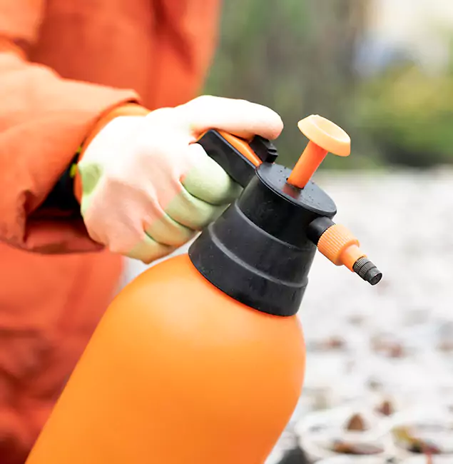 Why Choose Fairfax Pest Control Pros for Orange Termite Treatment in Fairfax, VA?