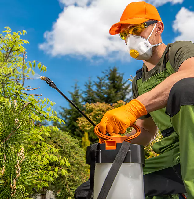 Why Choose Fairfax Pest Control Pros for Outdoor Pest Control in Fairfax, VA?