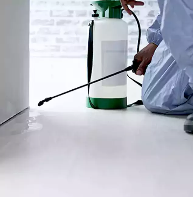 Why Choose Fairfax Pest Control Pros for Rat Exterminator in Fairfax, VA?