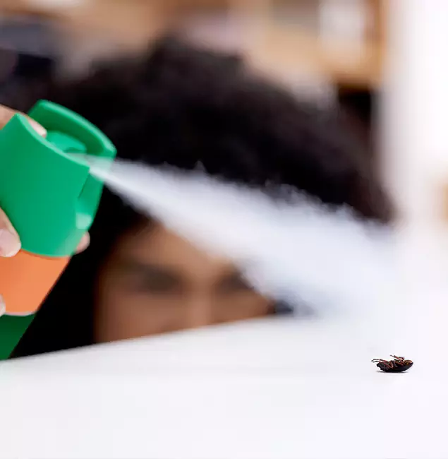 Why Fairfax, VA Homeowners Choose Fairfax Pest Control Pros for Roach Pest Control?