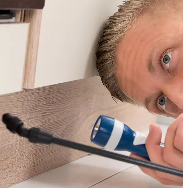Why Choose Fairfax Pest Control Pros for Rodent Exterminator in Fairfax, VA?