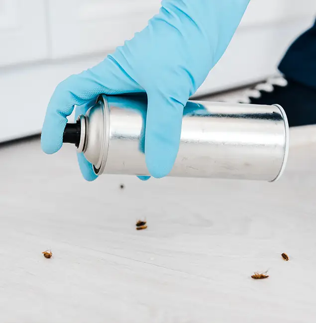Why Choose Fairfax Pest Control Pros for Safe Bed Bug Treatment in Fairfax, VA?