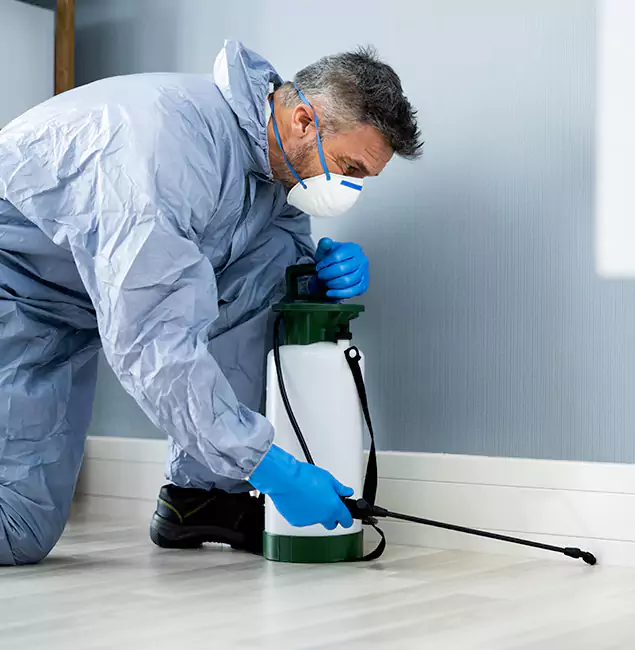 Why Choose Fairfax Pest Control Pros for Subterranean Termites Treatment in Fairfax, VA?