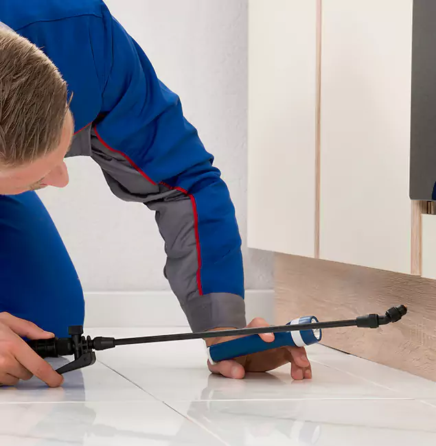 Why Fairfax Residents Choose Fairfax Pest Control Pros to Get Rid of Sugar Ants?