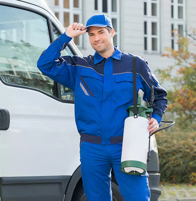 Why Choose Fairfax Pest Control Pros for Termite Control in Fairfax, VA?