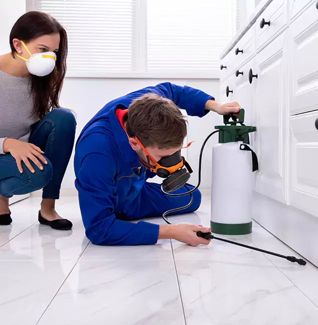 Why Choose Fairfax Pest Control Pros for Termite Inspection Cost in Fairfax, VA?