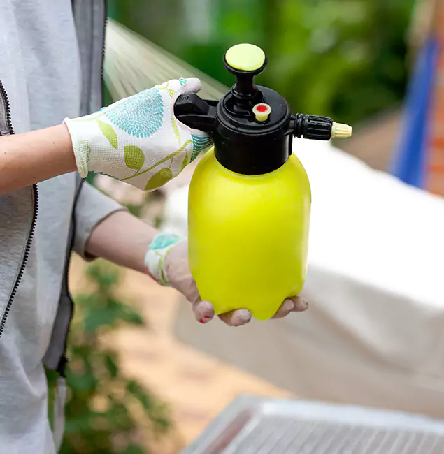 Why Choose Us: Fairfax Pest Control Pros Termite Spraying Experts in Fairfax, VA?