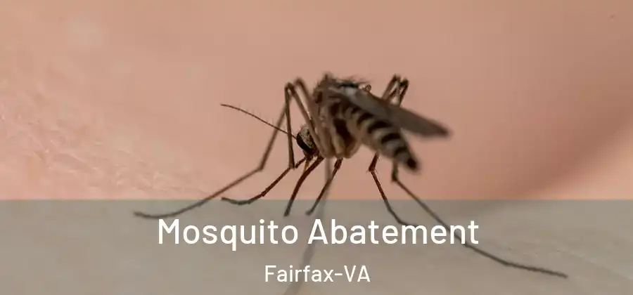 Mosquito Abatement Fairfax-VA