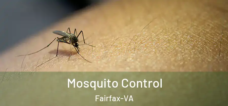 Mosquito Control Fairfax-VA