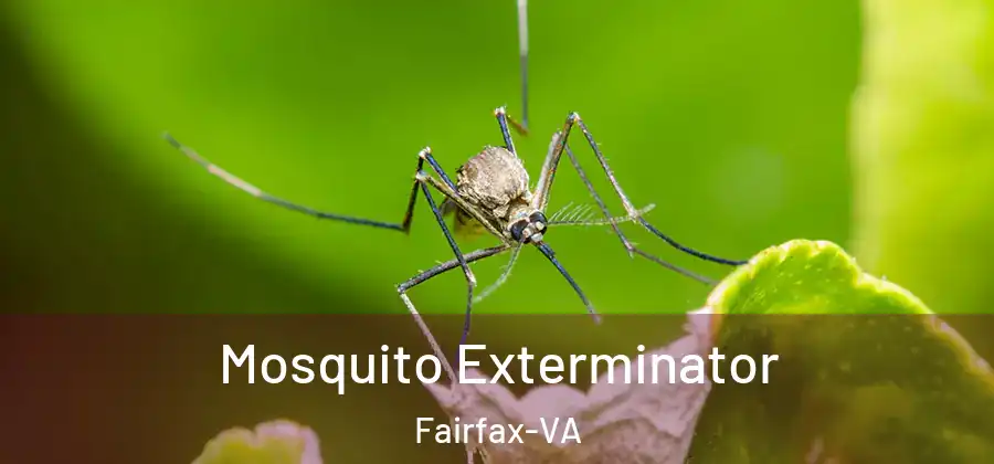 Mosquito Exterminator Fairfax-VA