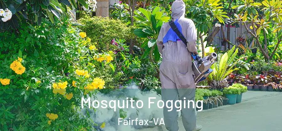  Mosquito Fogging Fairfax-VA
