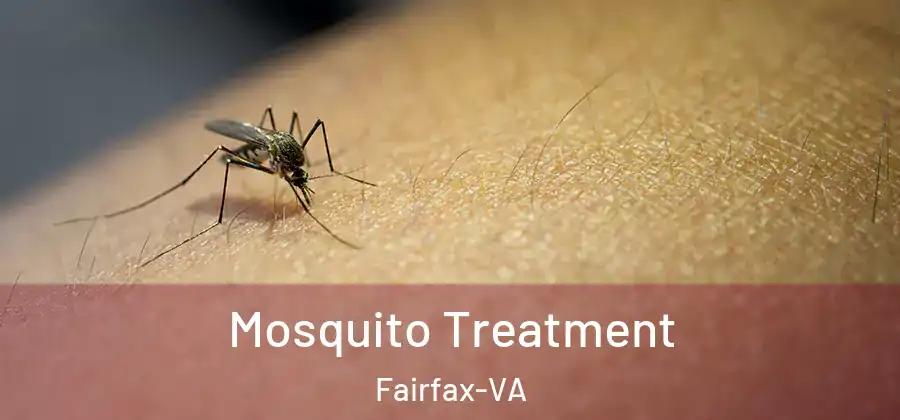  Mosquito Treatment Fairfax-VA