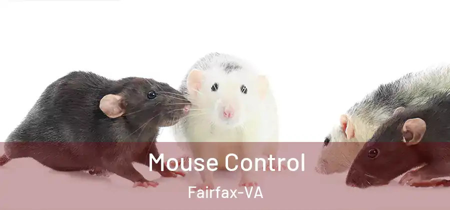  Mouse Control Fairfax-VA
