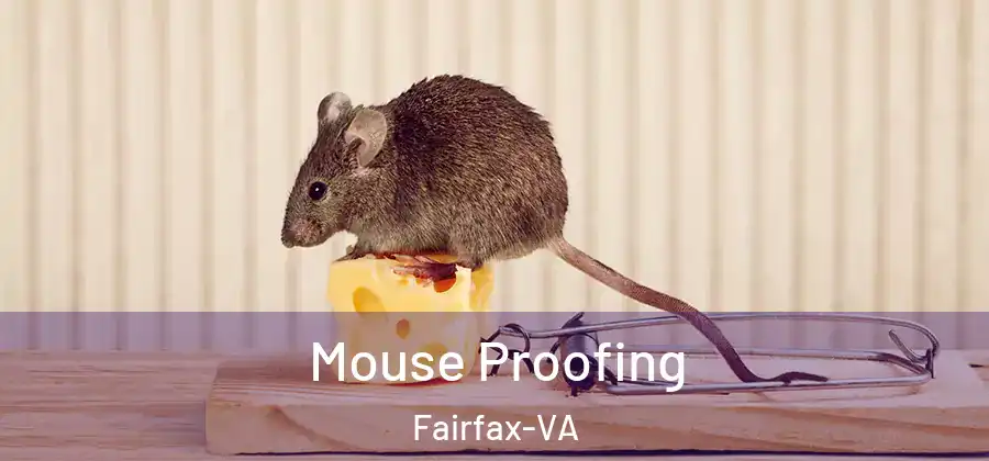  Mouse Proofing Fairfax-VA