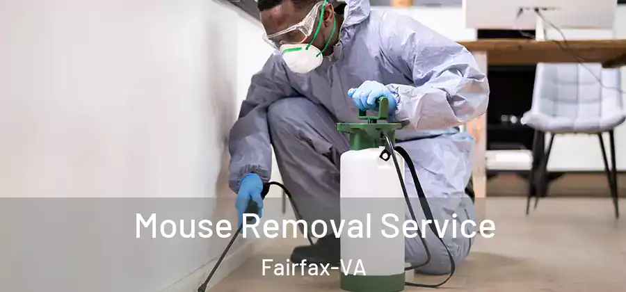  Mouse Removal Service Fairfax-VA