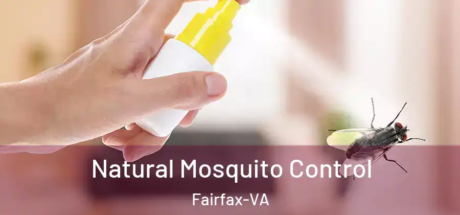Natural Mosquito Control Fairfax-VA