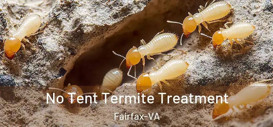  No Tent Termite Treatment Fairfax-VA
