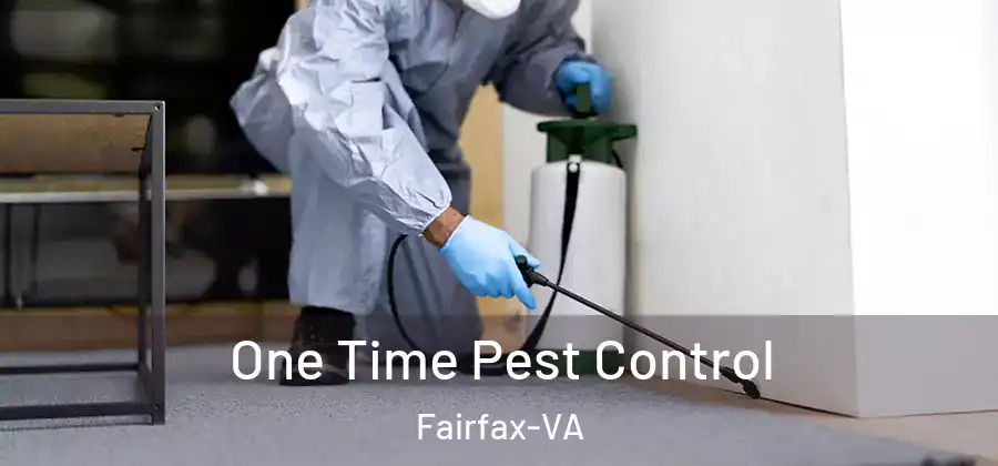  One Time Pest Control Fairfax-VA