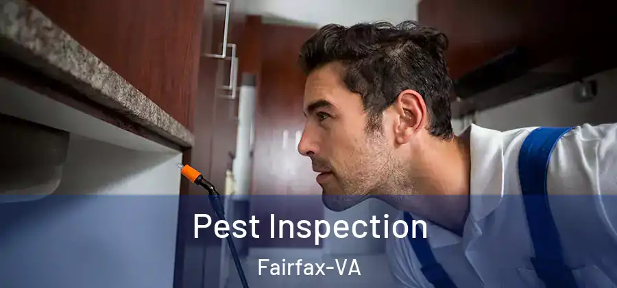  Pest Inspection Fairfax-VA