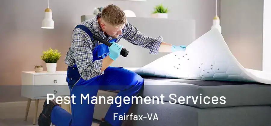 Pest Management Services Fairfax-VA