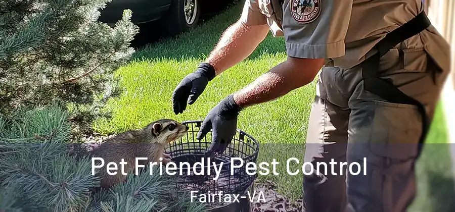 Pet Friendly Pest Control Fairfax-VA