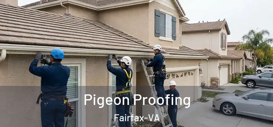 Pigeon Proofing Fairfax-VA