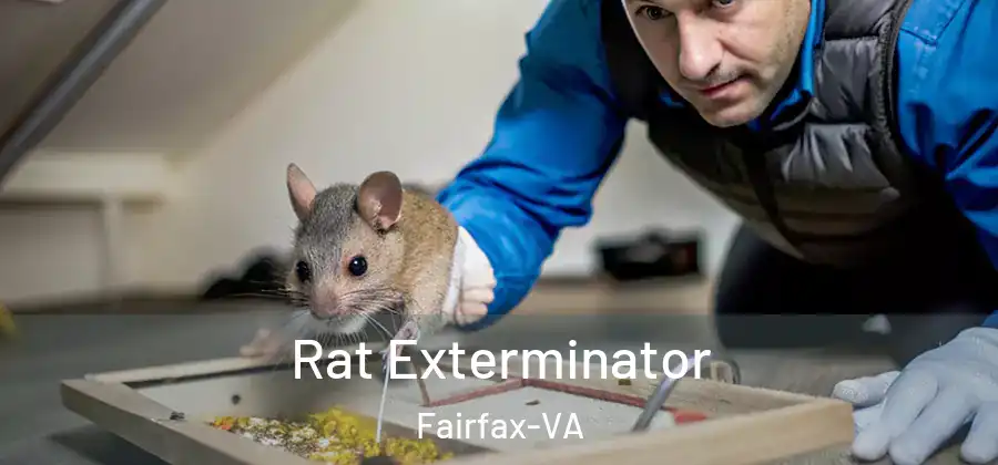  Rat Exterminator Fairfax-VA