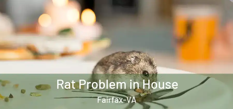  Rat Problem in House Fairfax-VA