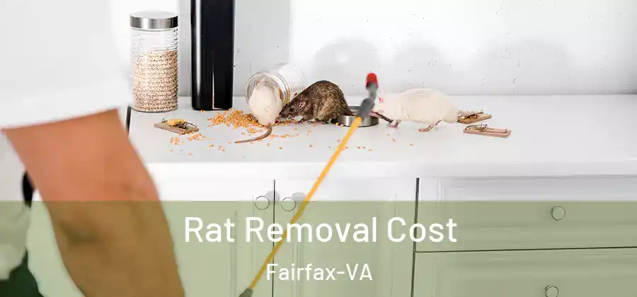  Rat Removal Cost Fairfax-VA