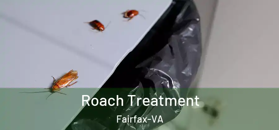 Roach Treatment Fairfax-VA