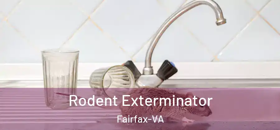  Rodent Exterminator Fairfax-VA