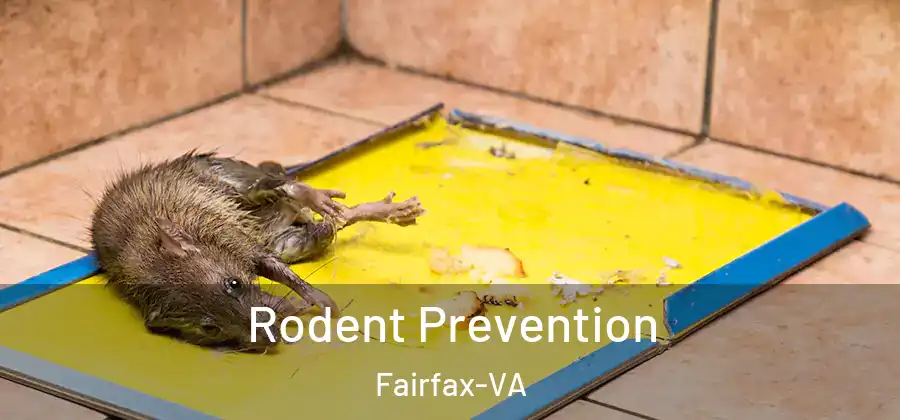 Rodent Prevention Fairfax-VA