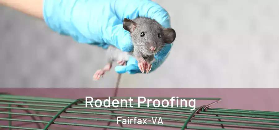  Rodent Proofing Fairfax-VA