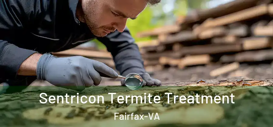  Sentricon Termite Treatment Fairfax-VA