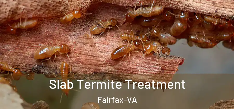 Slab Termite Treatment Fairfax-VA