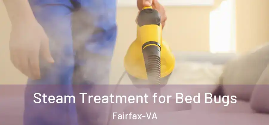  Steam Treatment for Bed Bugs Fairfax-VA