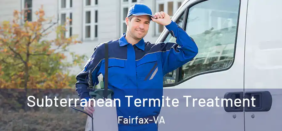 Subterranean Termite Treatment Fairfax-VA