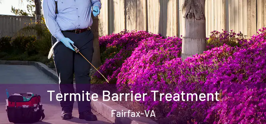 Termite Barrier Treatment Fairfax-VA