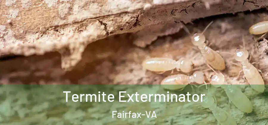  Termite Exterminator Fairfax-VA