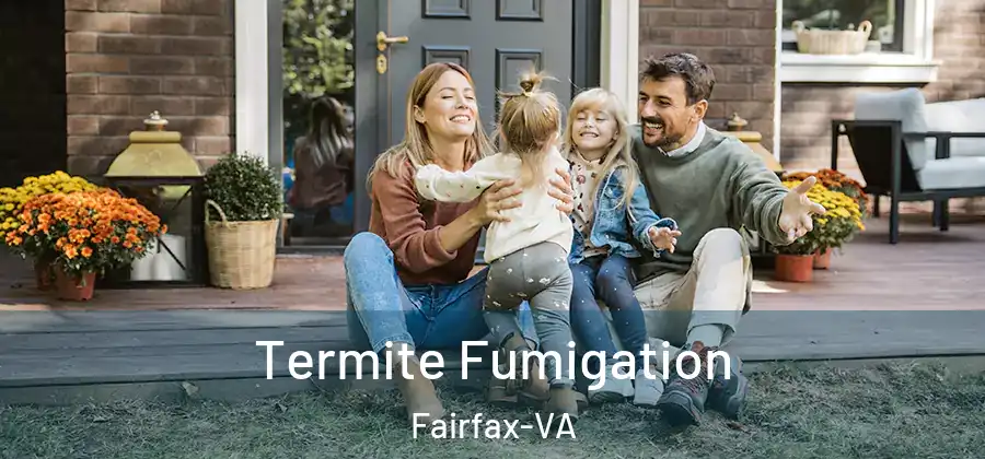  Termite Fumigation Fairfax-VA