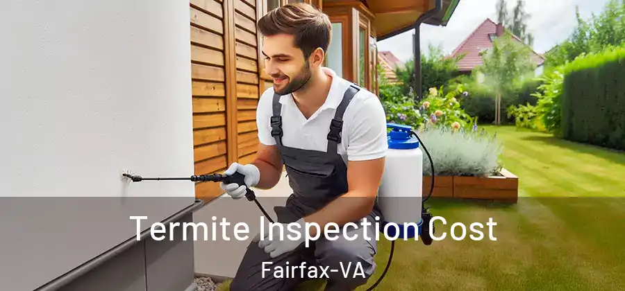  Termite Inspection Cost Fairfax-VA
