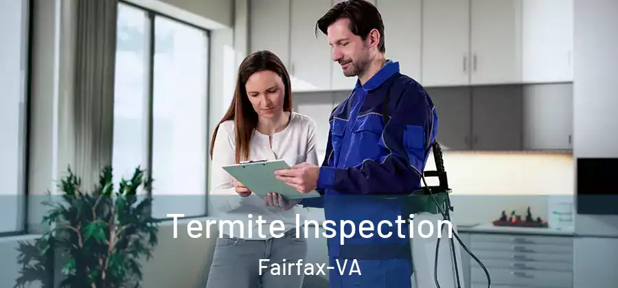 Termite Inspection Fairfax-VA