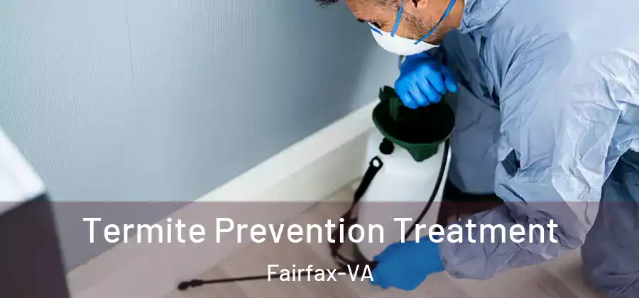 Termite Prevention Treatment Fairfax-VA