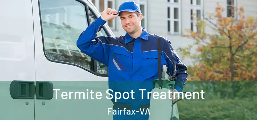 Termite Spot Treatment Fairfax-VA
