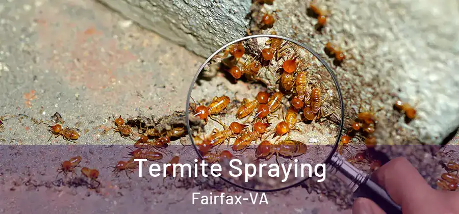Termite Spraying Fairfax-VA